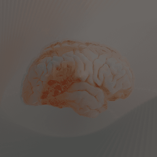 Neuropsicologia – Avaliação e Terapia Cognitiva